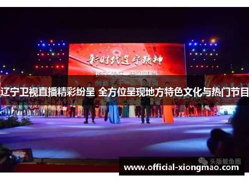 辽宁卫视直播精彩纷呈 全方位呈现地方特色文化与热门节目