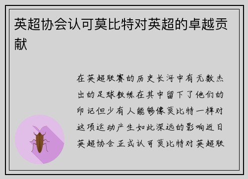英超协会认可莫比特对英超的卓越贡献